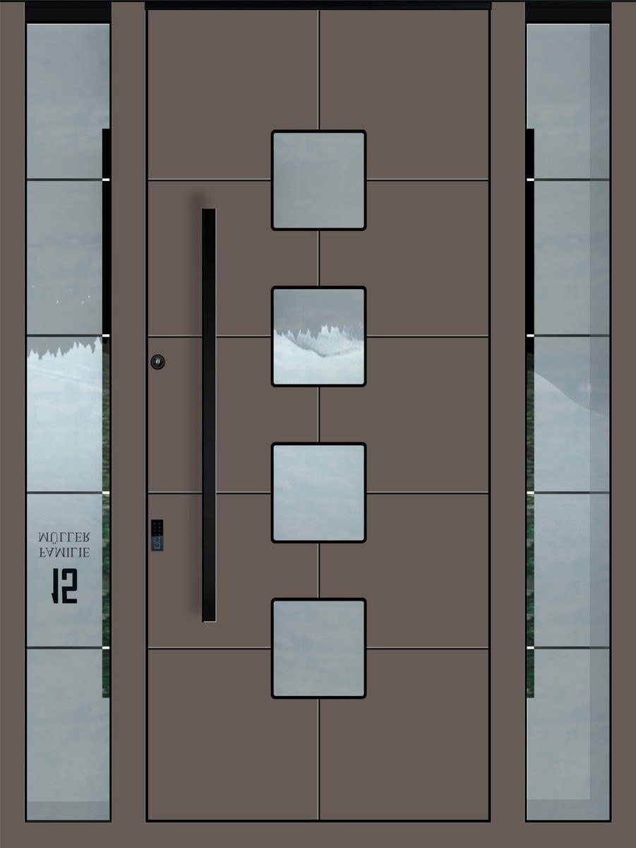 Aluminium-Haustür in dunklem Farbton